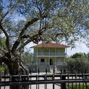 Apartment Olivegrove House
